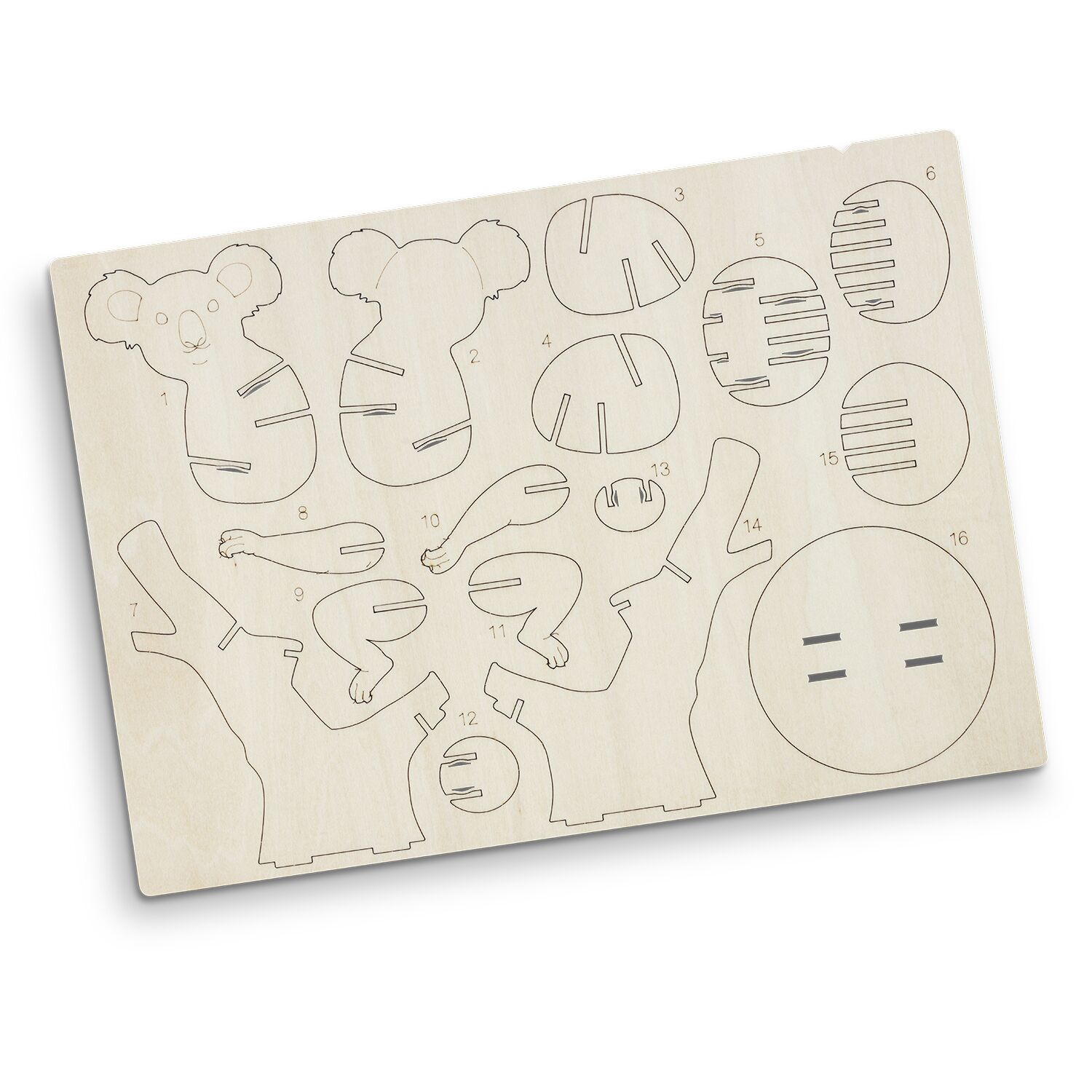 1267313jpg MMP Branding Co